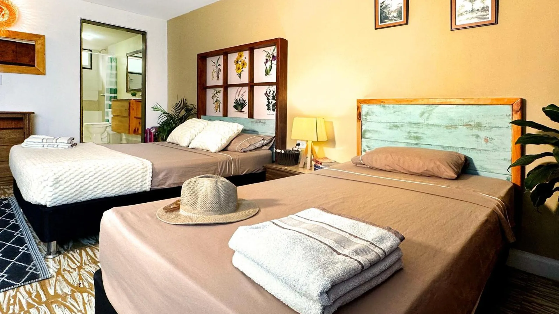 Cacao Hostel Santa Marta  Santa Marta (Magdalena)